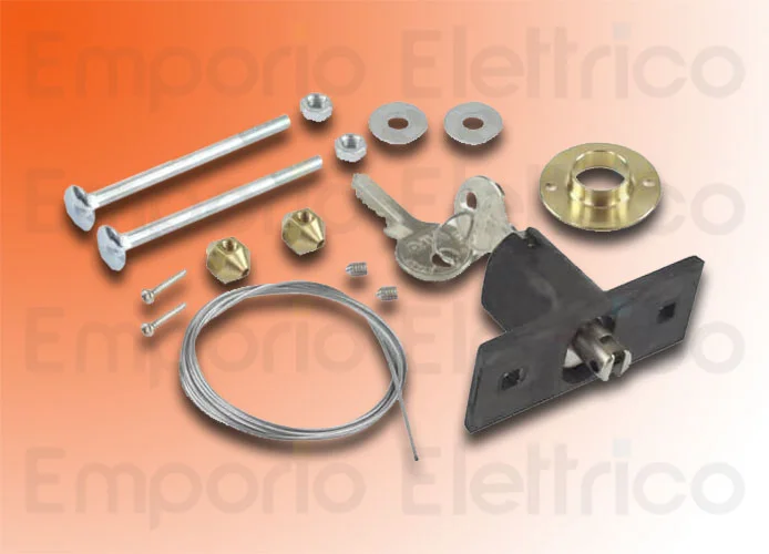 faac sblocco esterno a chiave ( x d600-d700hs-d1000 ) 424591001/36