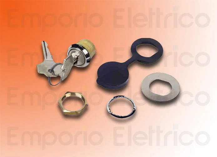 faac sblocco esterno con chiave personalizzata 424550001/50
