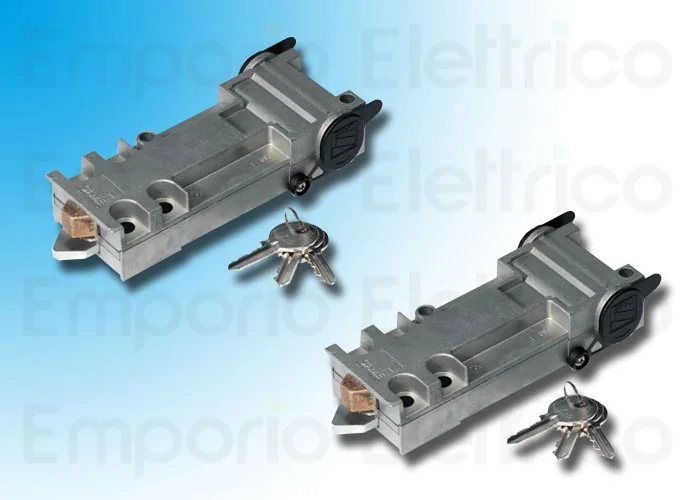 came 2 x sblocco con chiave personalizzata euro 001a4366 (new code 801xa-0030)