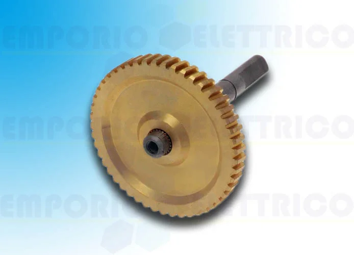 came ricambio albero lento ver 119rie141