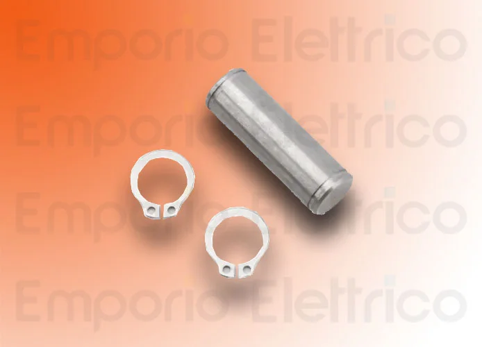 faac ricambio perni attacco ant.+ seeger 718354