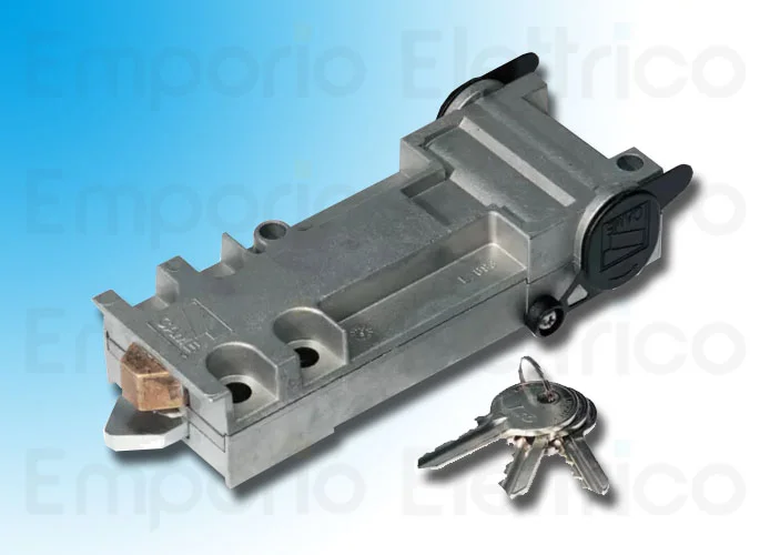 came sblocco con chiave personalizzata euro 001a4366 a4366 (new code 801xa-0030)